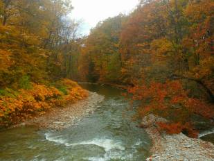 Fly Fishing