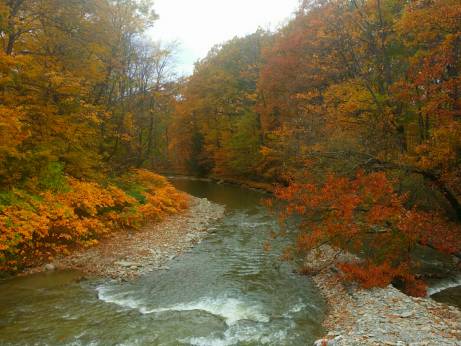 Fly Fishing