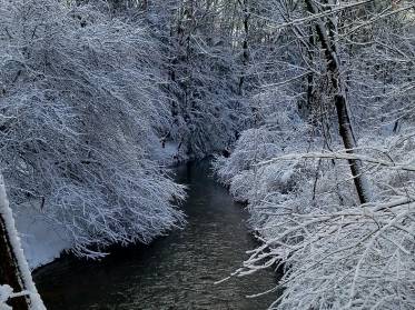 4 Mile Creek in Winter 2017