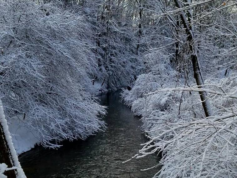 4 Mile Creek in Winter 2017