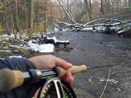 Mill Creek in November