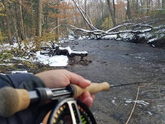 Mill Creek in November