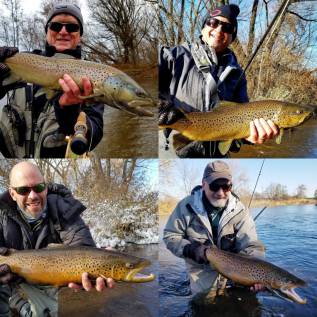 clients w browns