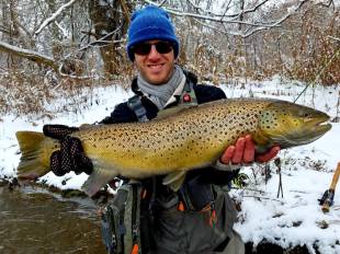 corey sandy creek brown 2019(1)