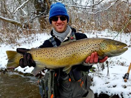 corey sandy creek brown 2019(1)