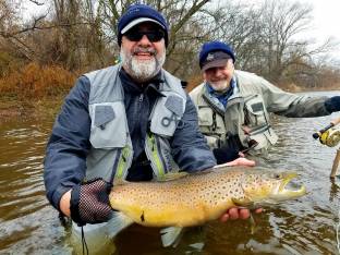 fall 5 brown trout