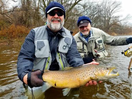 fall 5 brown trout