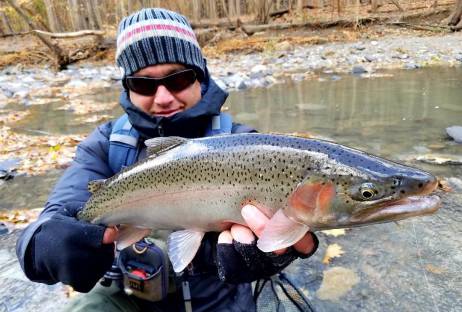 winter 3 steelhead lake erie