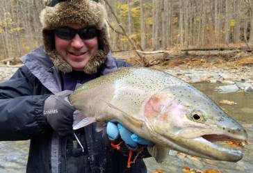 winter 4 steelhead lake erie