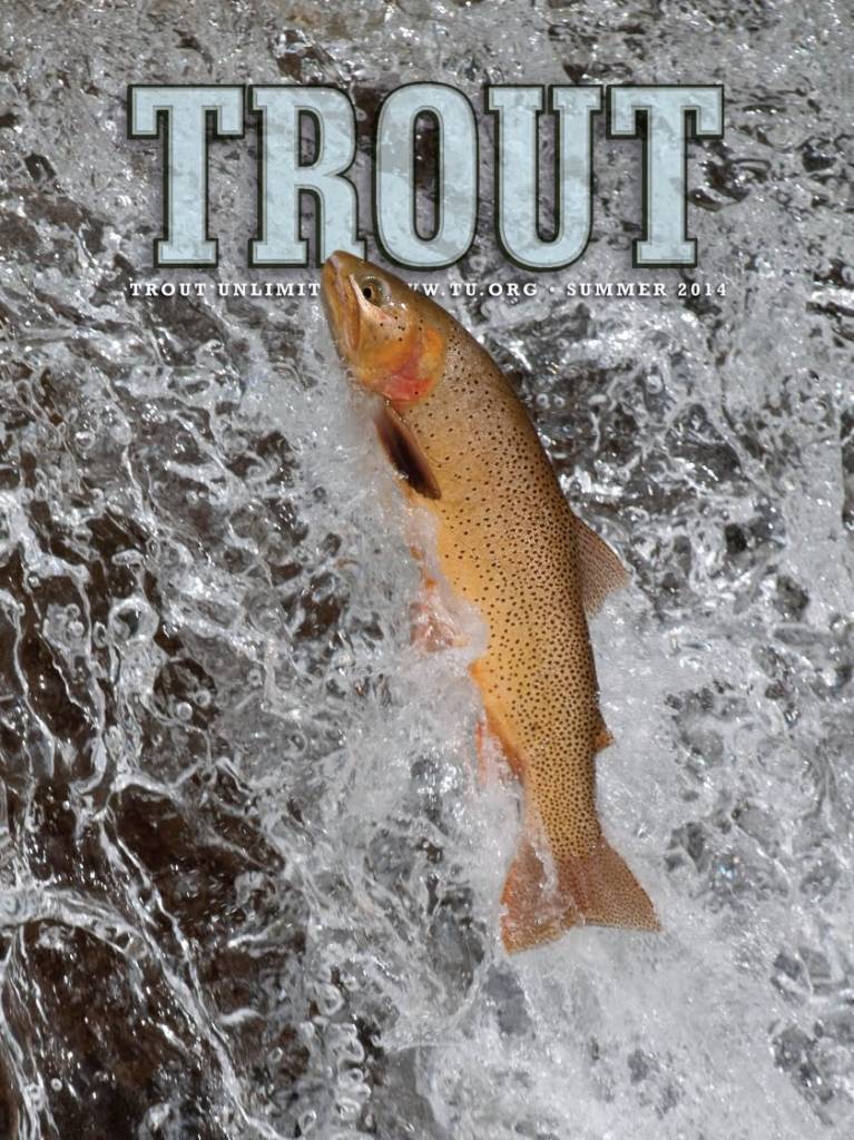 trout unlimited