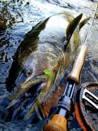fall fishing New York