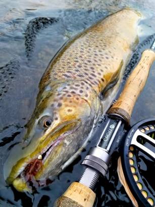 Fall Flying Fishing in Rochester NY (2)