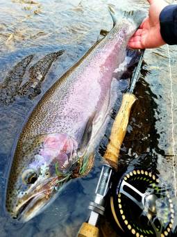Fall Flying Fishing in Rochester NY (3)