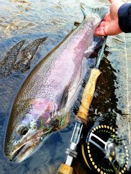 Fall Flying Fishing in Rochester NY (3)
