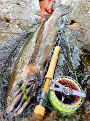 Spring Fly Fishing in Rochester NY (1)