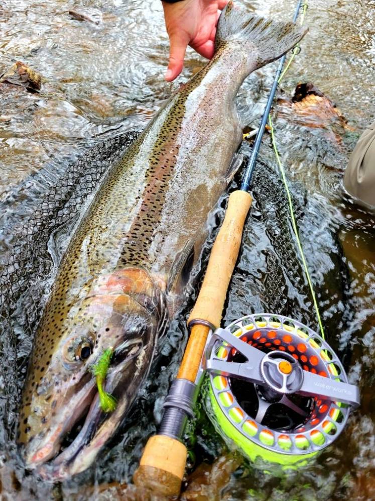 Spring Fly Fishing in Rochester NY (1)