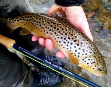 Spring Fly Fishing in Rochester NY (10)