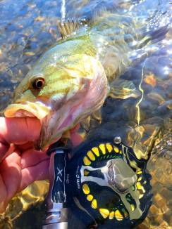 Spring Fly Fishing in Rochester NY (13)