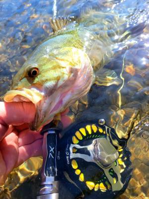 Spring Fly Fishing in Rochester NY (13)