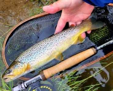 Spring Fly Fishing in Rochester NY (14)