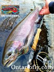 Fall Fly Fishing (1)