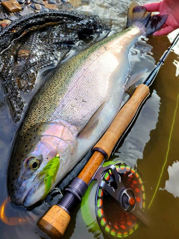 Fall Fly Fishing (3)
