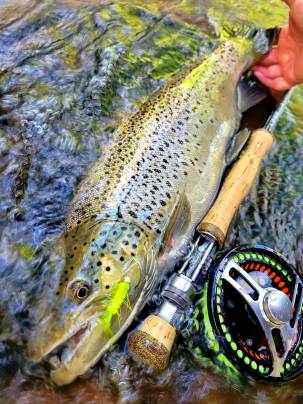 Fall Fly Fishing (5)