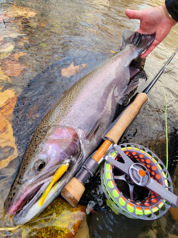 Fall Fly Fishing (6)